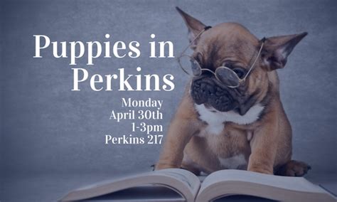 Youre In Fur A Treat Puppies In Perkins April 30 Duke University