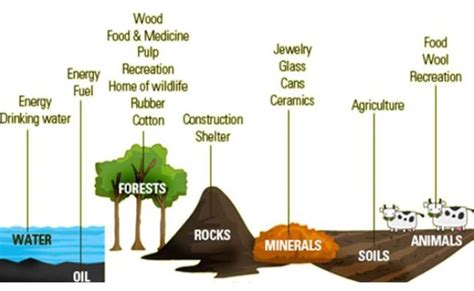 Scienceallthetime Types Of Natural Resources Otosection