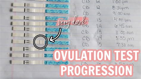 Ovulation Test Line Progression How To Read Ovulation Tests And Know Peak Ovulation Youtube