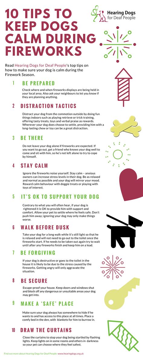 How To Keep My Dog Calm During Fireworks
