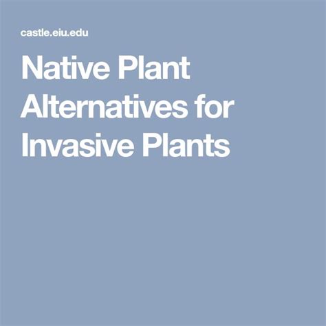 Native Plant Alternatives For Invasive Plants Invasive Plants Native Plants Plants