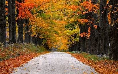 Autumn Fall Leaves Desktop Path Nature Road