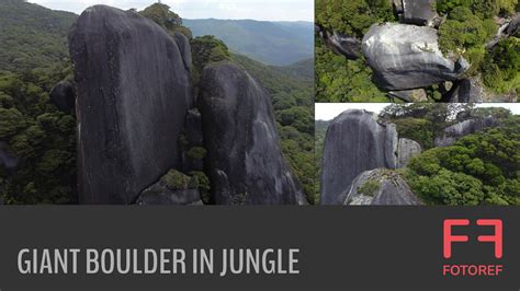 Artstation 260 Photos Of Giant Boulder In Jungle Resources