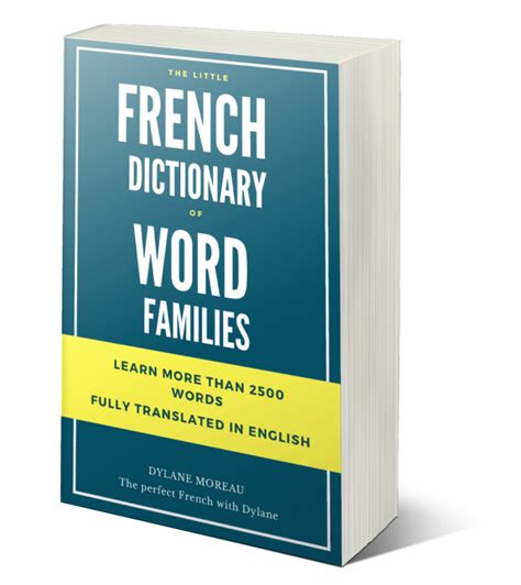 The Little French Dictionary Of Word Families French Online Language