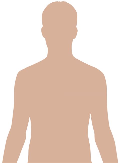 Wikimedia Body Anatomy Clipart 10 Free Cliparts Download Images On