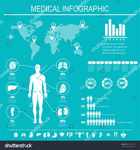 Medical Infographics Elements Human Body With Internal Organs Vector