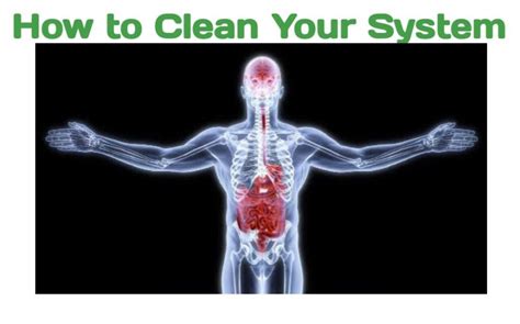 How To Clean Your System Out From Drugs And Alcohol Public Health