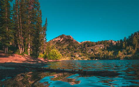 Download Wallpaper 3840x2400 Mountains Lake Trees Spruce Landscape