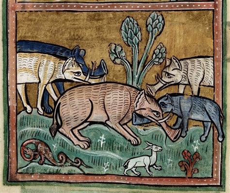 As artists and scientists throughout history began to study animals in earnest and create compendiums of fantastic beasts (and where to find them), they had to rely on secondhand knowledge to create their own drawings. Why Did Medieval Artists Give Elephants Trunks That Look Like Trumpets? - Atlas Obscura