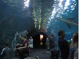 Pictures of New Jersey Aquarium Service