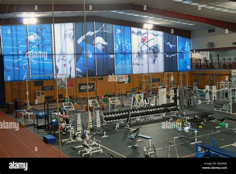 The Gym The Australian Institute Of Sport Ais Canberra Act