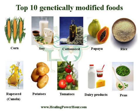 What Are Some Benefits Of Genetically Engineered Crops