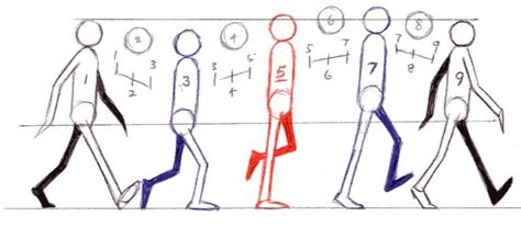 Walk Reference 1 9 Frames Animation Reference Animation Sketches