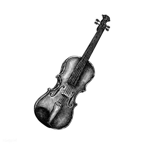 Download Premium Vector Of Hand Drawn Violin Isolated On White
