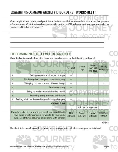 Examining Common Anxiety Disorders Worksheet 1 Cod Journey To