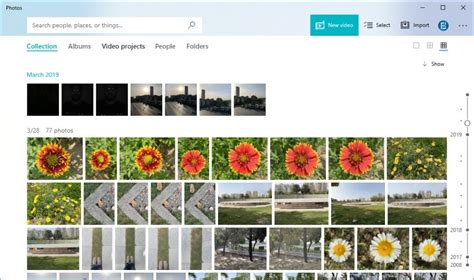 7 Best Photo Viewer Apps For Windows 10 In 2022 Free And Paid