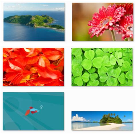 Download Windows 8 Consumer Preview Wallpapers Leak Pureinfotech