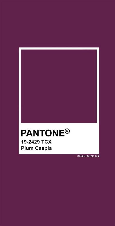 Pantone Plum Caspia Pantone 19 2429 Pantone Color Pantone Colour