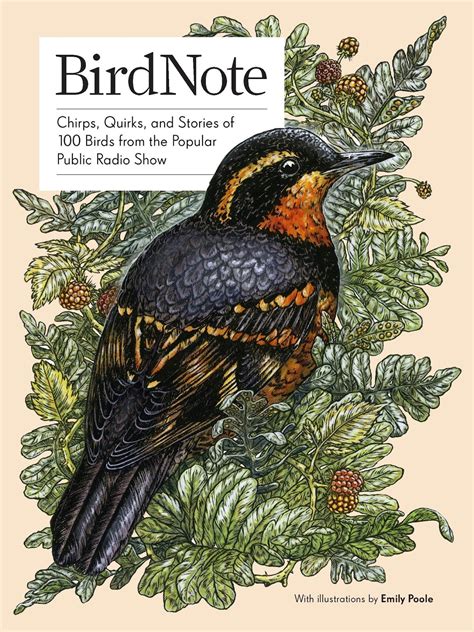 Bird Brainz Birds Birding And Books January 2019