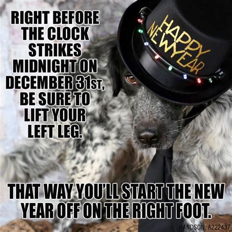 New Years Eve Dog Quotes Agc