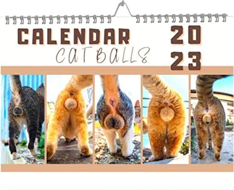Cat Butthole Calendar X Inches Funny Calendar Month Cat
