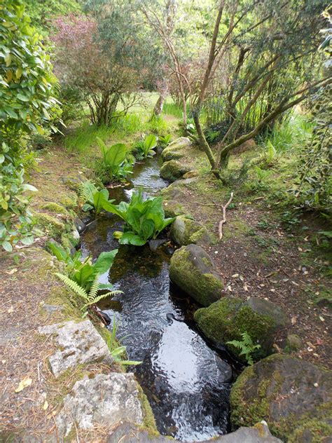 Stream Garden Muckross House And Gardens Killarney National Park