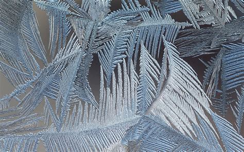 Download Wallpapers Frost Patterns 4k Gray Frost Backgrund Frost