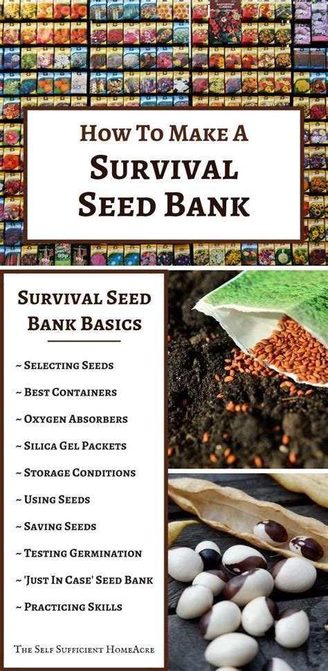 How To Make A Survival Seed Bank The Self Sufficient Homeacre