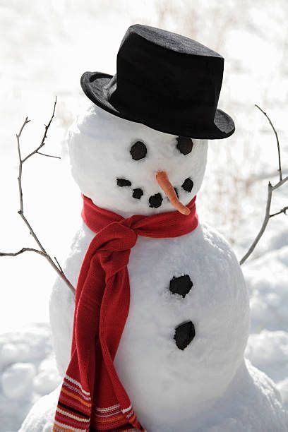 Snowman Wearing Top Hat Snowman Christmas Snowman Christmas Mood