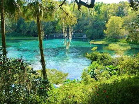 Rainbow Springs State Park Dunnellon Φλόριντα Κριτικές Tripadvisor