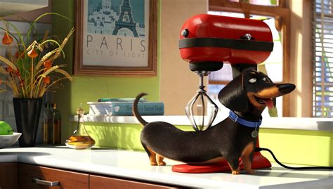 The Secret Life Of Pets Is Super Cute Movie Review Reel Life With Jane