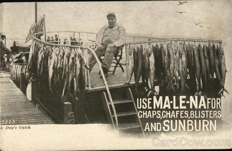 The Malena Company Warriors Mark Pa Advertising Postcard