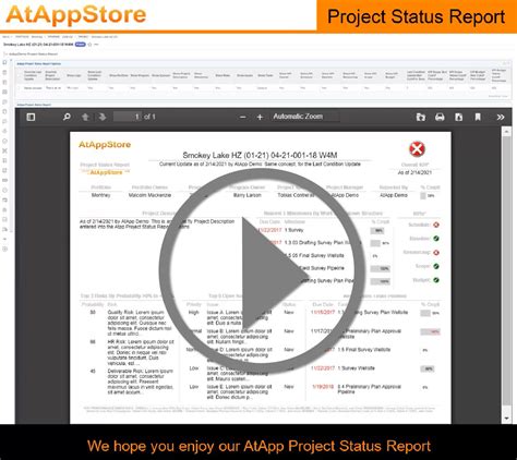 Project Status Report Atappstore