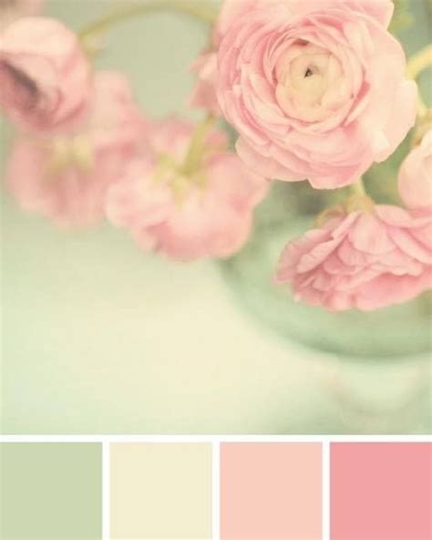 A Beautiful Mood Board With A Soft Feminine Feel Color Palette Pink