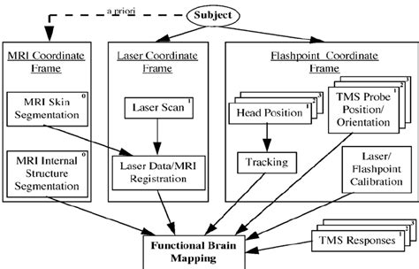 Architecture Of The Functional Brain Mapping System 19 Download