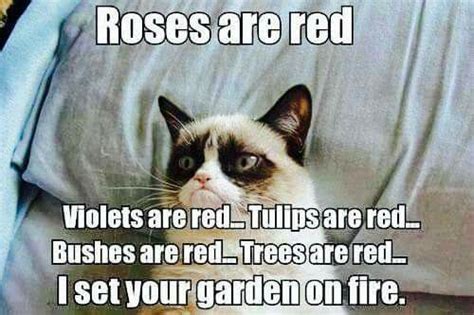 A Little Poem From Grumpy Cat Grumpy Cat Quotes Cat Quotes Funny