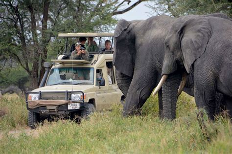 5 Days Tanzania Luxury Safari Tanzania Wildlife Safari Packages