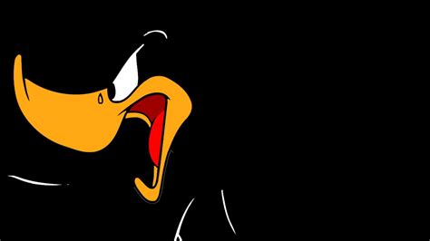 Daffy Duck Wallpaper Images