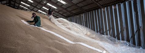 Grain Fumigation — Fumigation — Dealey Pest Control