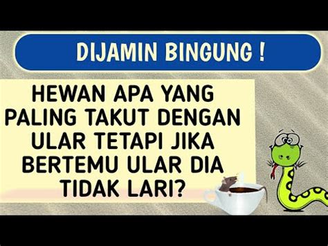 Pelbagai artikel yang lucu/lawak, kisah inspirasi yang menarik dari seluruh dunia. DIJAMIN PUSING PALA ENTE! Tebak Tebakan Paling Susah ...