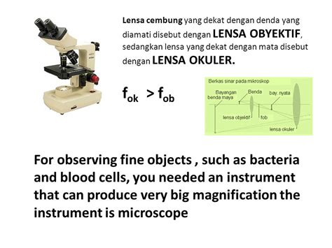 Lensa Pada Mikroskop Yang Dekat Dengan Mata Disebut Lensa Terkait Mata