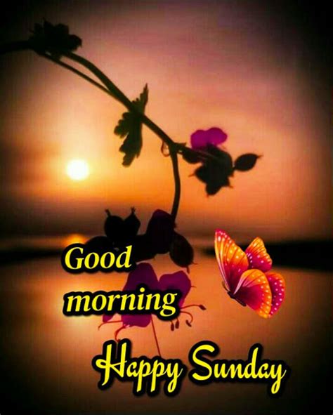 Search, discover and share your favorite happy sunday good morning gifs. Good Morning Images For Whatsapp in 2020 | Good morning ...