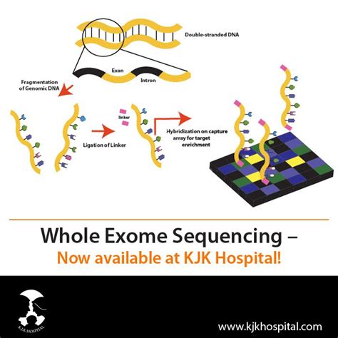 Whole Exome Sequencing Kjk Hospital And Fertility Research Centre Trivandrum