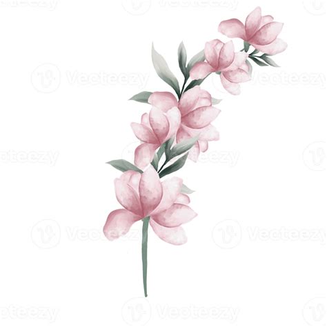 Pink Watercolor Flowers 13812208 Png