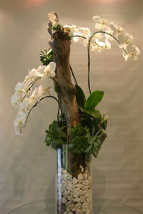 Best Orchid Arrangements With Succulents And Driftwood 41 Decomagz Orchid Flower