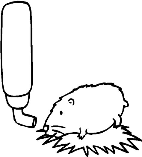 He can play alone as long as there are objects that can be played and can clean his own body. Hamster coloring pages to download and print for free