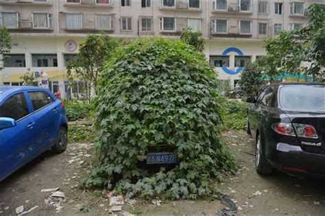Szörnyautóra bukkantak Kínában | Vezess
