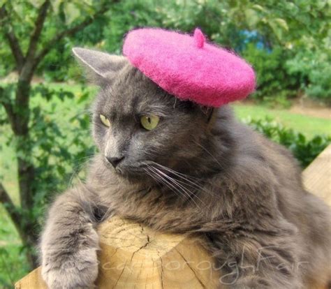 Catsparella Etsy Find Cat Hats By To Scarborough Fair