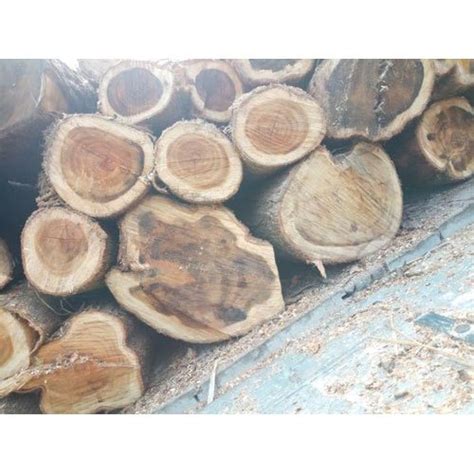 8 Feet Brown Acacia Wood Log For Furniture At Rs 850cubic Feet In