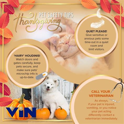 Thanksgiving Tips Illiana Veterinary Hospital